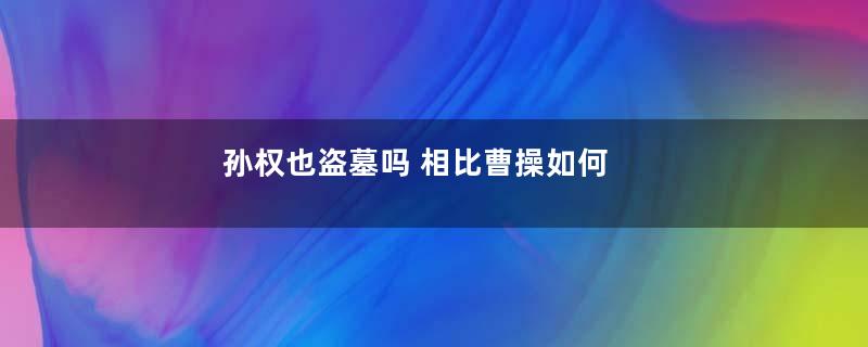 孙权也盗墓吗 相比曹操如何